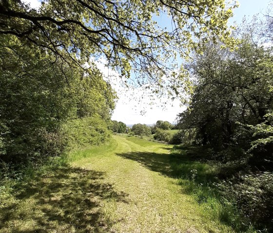 20210516_113809, &copy; Annette Rosen-Roevenich & Nordeifel Tourismus GmbH