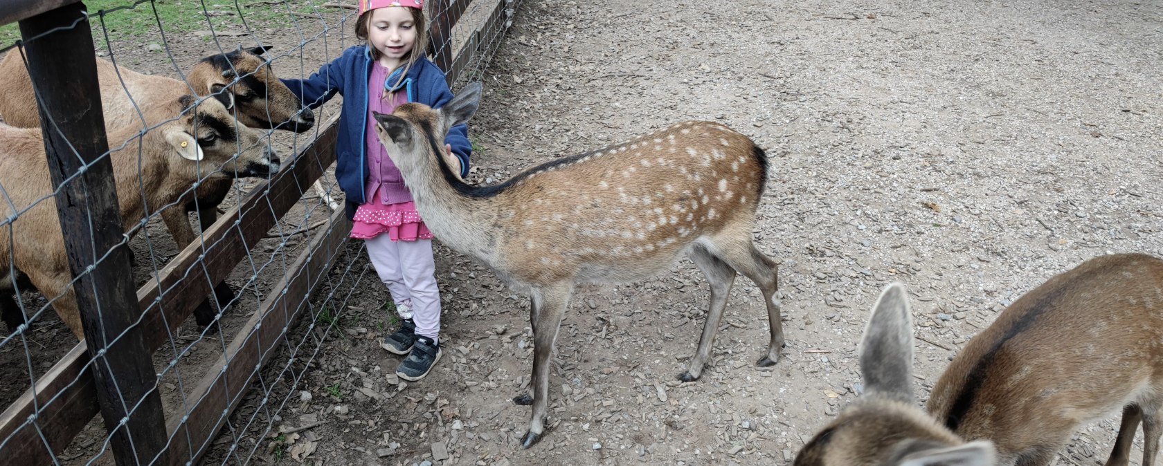 Hochwildpark Kommern2, &copy; Lena Poth
