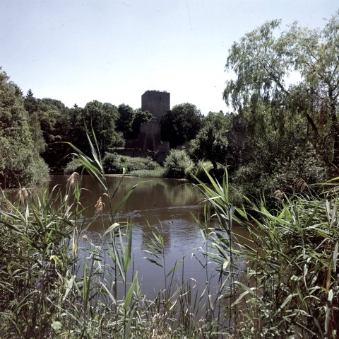 A pond with reeds in the foreground, behind it a ruined castle surrounded by trees. Clear sky in the background., &copy; Wandermagazin/ N. Glatter
