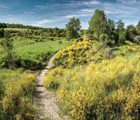 Dreiborner Hochfl&auml;che, &copy; Dominik Ketz & Nordeifel Tourismus GmbH