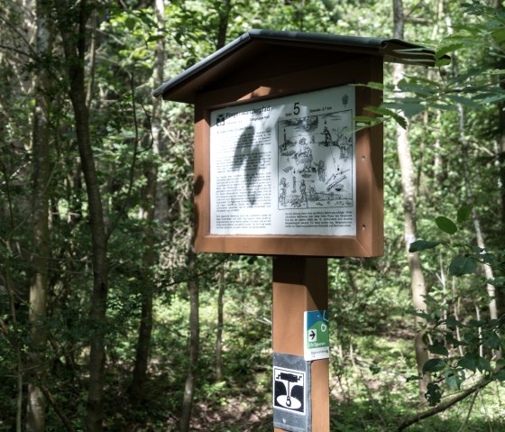 Eine Infotafel im Wald auf dem Eifelspur Pingenwanderweg, umgeben von B&auml;umen und Pflanzen. Die Tafel informiert &uuml;ber den Wanderweg., &copy; Nordeifel Tourismus GmbH