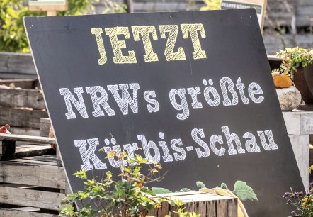 Werbeschild Kürbisschau, © Eifel Tourismus GmbH - Dominik Ketz