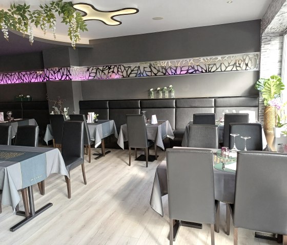 Izumi 2, &copy; Nicole Zimmer