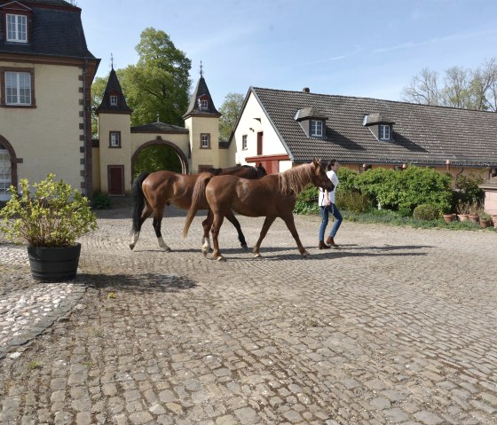 _DSC8743, &copy; Nordeifel Tourismus GmbH & La Maison