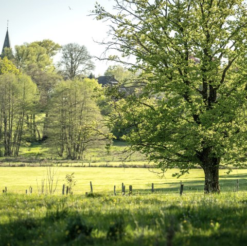 Gr&ouml;lisbach in Roetgen, &copy; Kupferstadt Stolberg, Dominik Ketz
