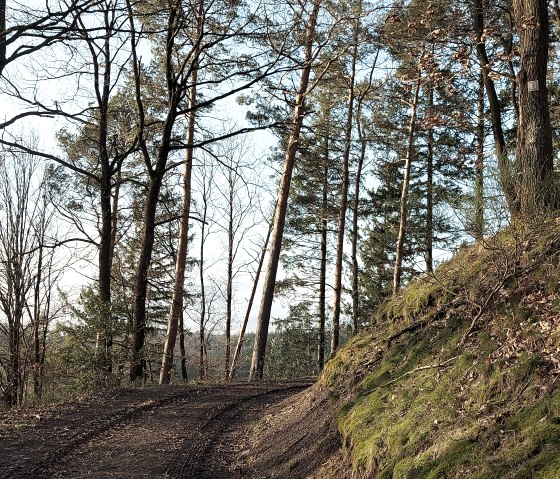Februarweg (co) Thei&szlig;en-Braun