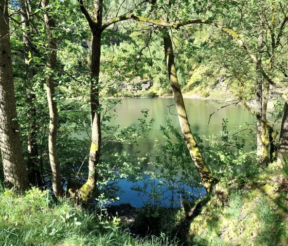 Nature Impressions, &copy; Corinne Odenkirchen
