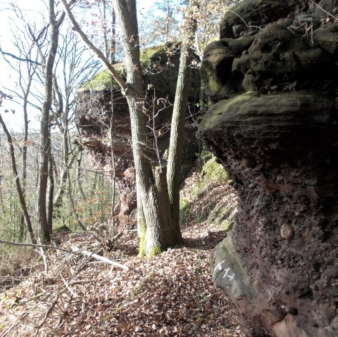 Buntsandsteinfelsen, &copy; Eifel heimisch