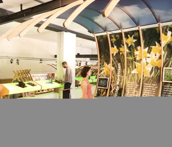 Ausstellung zu den wilden Narzissen im Nationalpark Eifel Tor in Monschau-H&ouml;fen, &copy; Eifel Tourismus GmbH/D. Ketz