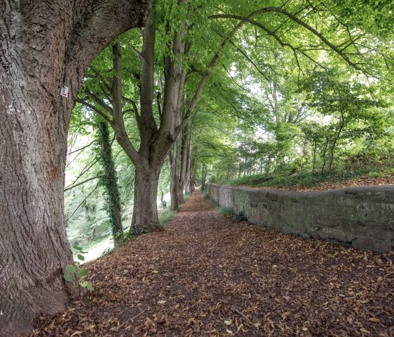 An der Burg, &copy; some.oner