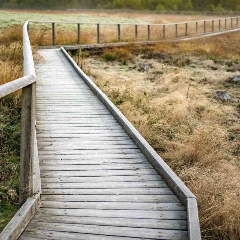 Marshland, &copy; Paul Meixner