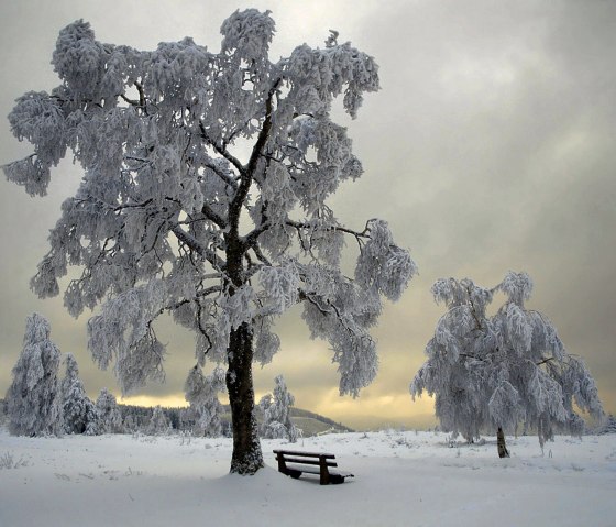 Winterlandschaft in der Eifel., &copy; Nordeifel Tourismus GmbH & Ferienwohungen Betram, Nationalpark-Gastgeber