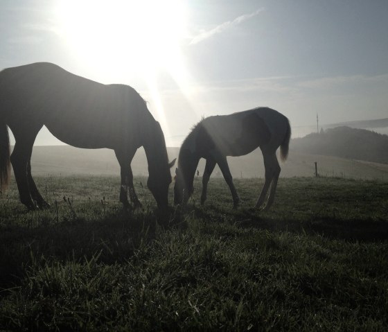 Besinnliche Zeit Hasenberghof, © Dr. Axe Stiftung