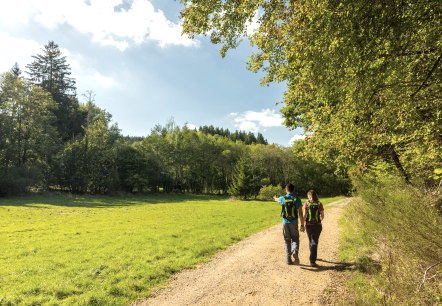 Geführte Wanderung, © Eifel Tourismus GmbH - Dominik Ketz
