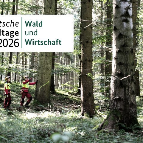 Forest Days 2026, &copy; F&uuml;rst Wallerstein Forstbetriebe