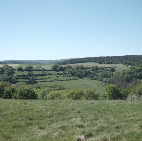 Weitsicht, &copy; Eifel heimisch