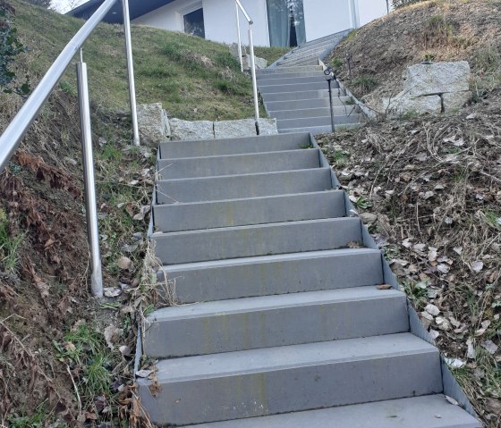 WhatsApp Image 2026-03-04 at 15.06.46 (1)