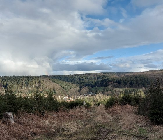 M&auml;rz Aussicht (co) Thei&szlig;en-Braun