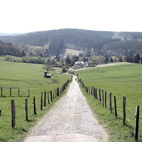 09-view-direction-eifel-c-dieter-gier, &copy; Dieter Gier