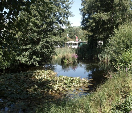 Teich am Campingplatz, &copy; Campingplatz Felsenblick