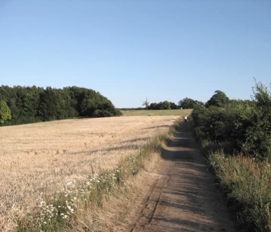 Wanderweg, &copy; Dietmar Frank & Nordeifel Tourismus GmbH