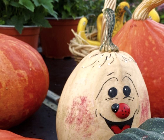 Herbstzeit ist Kürbiszeit, © Seepark Zülpich