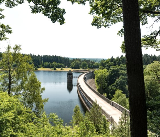 Staumauer im Wald mit Blick auf den See und umgebende B&auml;ume., &copy; Eifel Tourismus GmbH, D. Ketz