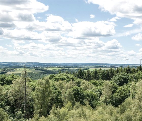 Eifel, © Juliane Paustenbach