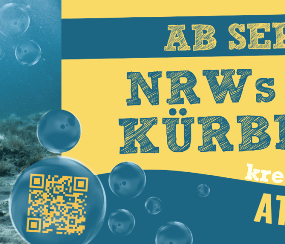Kürbisschau, © Krewelshof