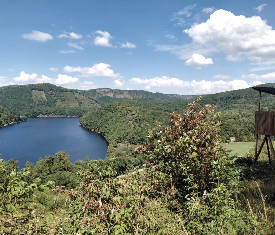 Nationalpark Eifel- Blick auf den Obersee- Einruhr