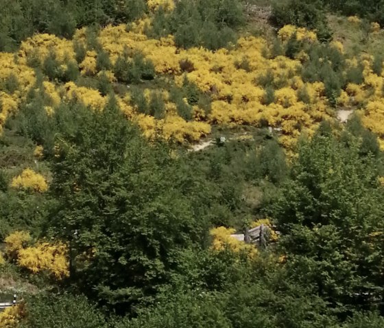 Eisenwanderweg, Gem&uuml;nd