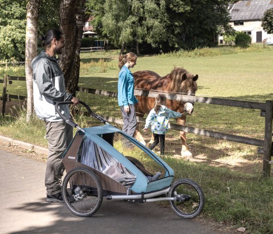 A family with a baby carriage stands by a fence. A child strokes a pony in a meadow. Trees and a building can be seen in the background., &copy; Eifel Tourismus GmbH, Tobias Vollmer