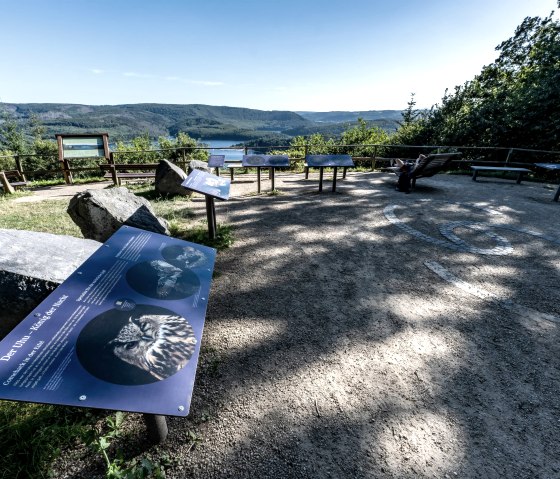 Informationstafel, &copy; Nils N&ouml;ll