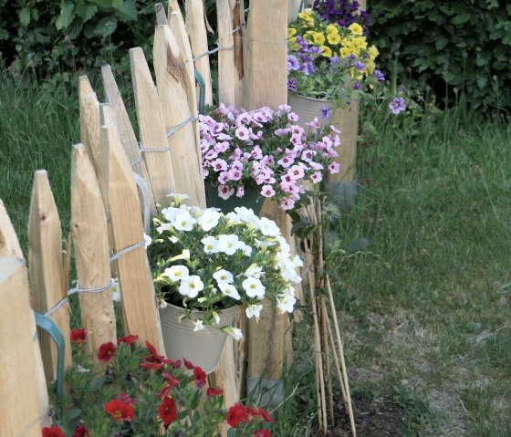 6 Garten