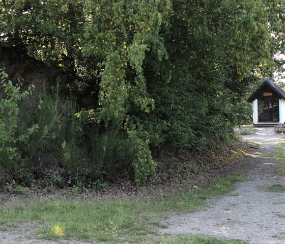 Auf dem Weg zur Waldkapelle, &copy; Rureifel-Tourismus e.V.