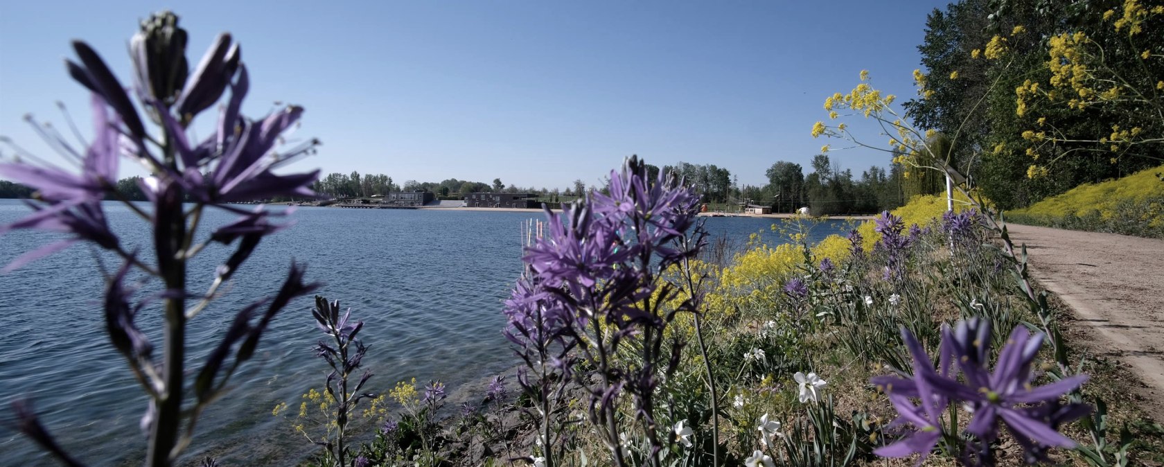 Seepark Z&uuml;lpich, Blumen am Wasser, &copy; Seepark Z&uuml;lpich