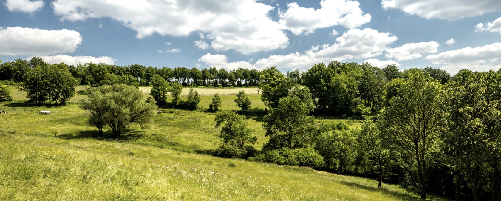 St&auml;dteregion Aachen-2024-440-Mariengrotte (c) D.Ketz, &copy; St&auml;dteRegion Aachen, Dominik Ketz