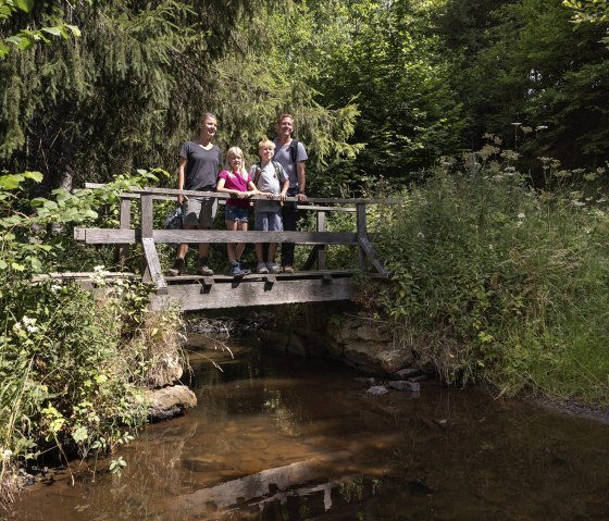 Bridge on Kaiser Karl Weg, &copy; Eifel Tourismus GmbH_Tobias Vollmer