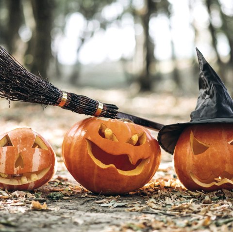 Halloween &Uuml;bernachtung, &copy; Freepik