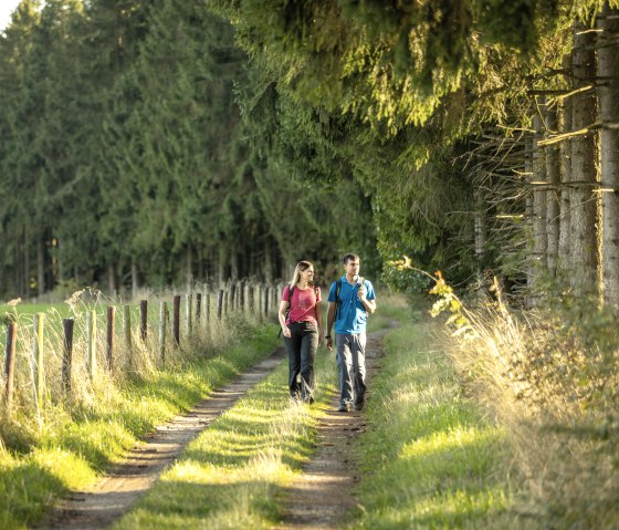 Zwei Wanderer auf einem sonnigen Pfad neben einem Wald in der Eifel. Sie tragen Rucks&auml;cke und genie&szlig;en die Natur., &copy; Eifel Tourismus GmbH, Dominik Ketz
