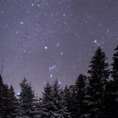 Lichte Hardt, &copy; Bernd Pr&ouml;schold