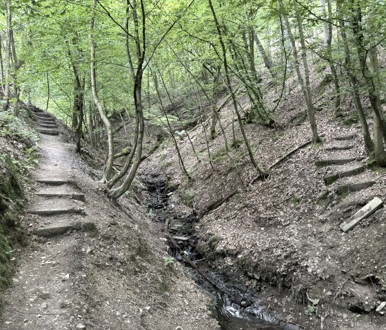 Auf der Wanderroute Nr. 43, &copy; Rureifel-Tourismus e.V., Dennis Winands