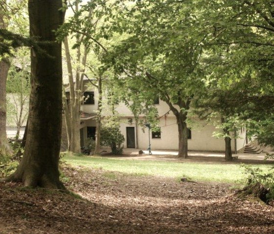 The house