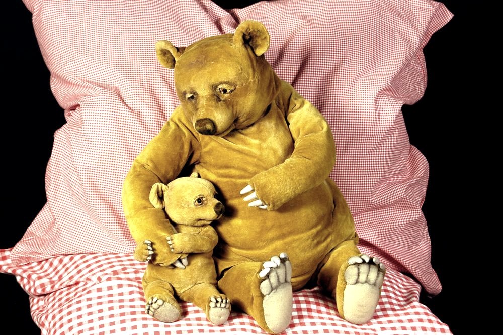 Kleiner B&auml;r, &copy; Jojo Ludwig