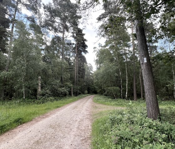 Entlang der Wanderung Nr. 43, &copy; Rureifel-Tourismus e.V., Michelle Wiesen