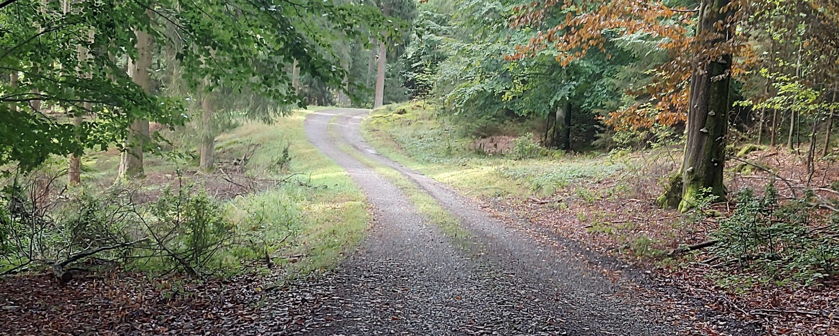 Herbst Buchenweg Lammersdorf Oktober (co) Thei&szlig;en-