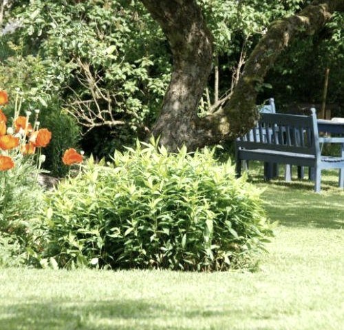 Garten, &copy; Valet & Nordeifel Tourismus GmbH