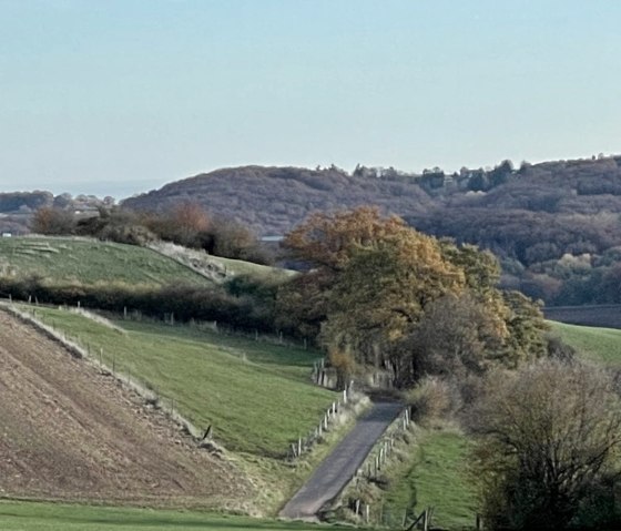 Wanderweg zum Ferienhaus