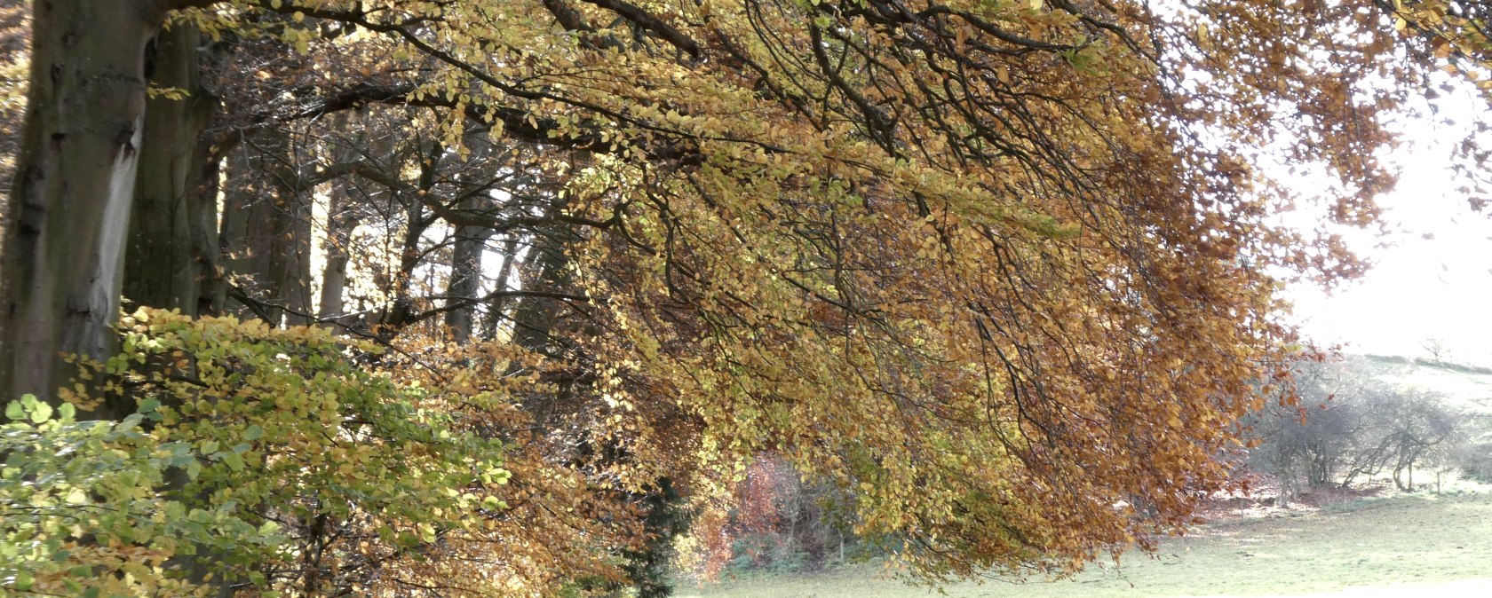 Unterwegs im Herbstwald, &copy; Guido Hendle