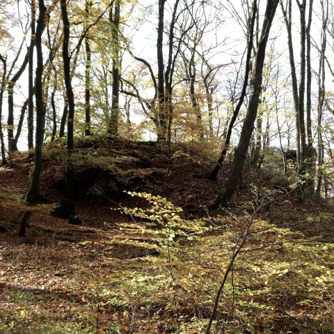 Wanderung, &copy; Guido Hendle